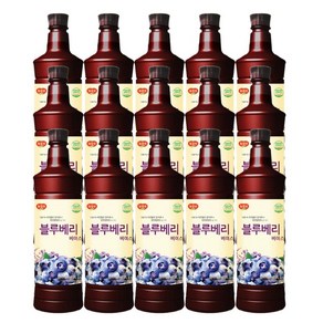 광야 늘감사 블루베리 베이스 (970ml x 15개), 970ml, 15개