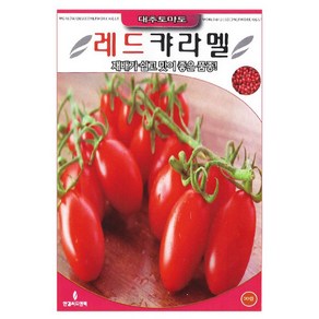 레드 대추토마토씨앗 방울토마토씨 20립, 1개