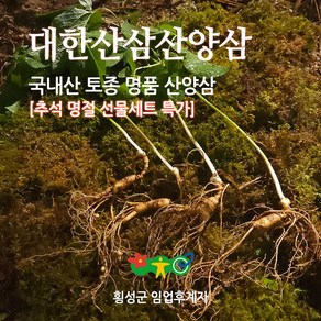 대한 산삼 산양삼 12년근 정사이즈 장기복용 최고의 약효, 200g, 1개