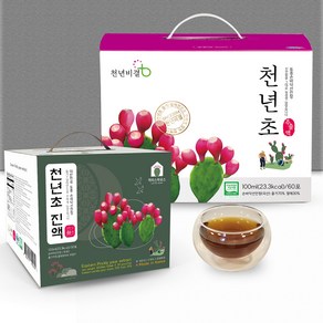 천년비결 천년초 엑기스 100ml 60팩 '깊은맛 무첨가 진액농축 무농약 무농약원료가공식품인증 건강즙, 2개, 3L