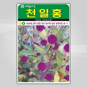 슬로시 꽃 씨앗 고급 꽃씨 야생화 허브씨 종자 모음, 1개