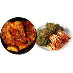 도미솔 맛있는 포기김치 4kg+파김치 1kg(총5kg), 1세트, 5kg