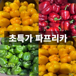 초특가 국내산 파프리카 가정용 못난이 노란 초록 빨간 혼합, 1개, 3kg (3색 혼합)