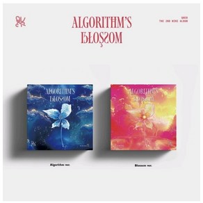 QWER 2집 미니 앨범 Algoithm's Blossom 알고리즘스 블라썸 일반반 포토북 랜덤 + 정품 공식 미공개 포토카드 미공포 랜덤1장 특전 포카