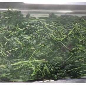 국내산 곤드레 400g(고형분200g) 1팩