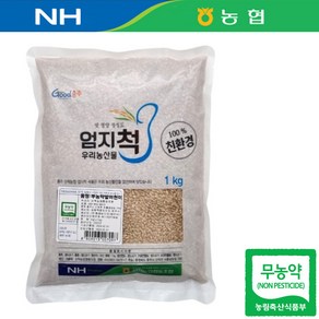 강원 원주 23년산 국산 농협 무농약 발아현미 1kg 발아현미쌀, 1개