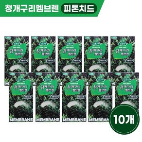 청개구리 멤브렌 10개입 10개 피톤치드향, 10개