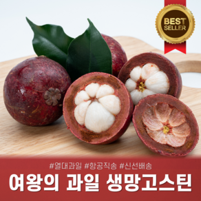 [다정한과일] 태국 열대과일 생망고스틴 (4~7과/망), 망고스틴 2.5kg (500g * 5망), 1세트