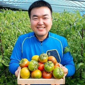 (람이네)재구매 많은 대저토마토 찰토마토 크기혼합 2.5kg 주스용 쥬스용 샐러드용, 1박스, 대저 주스용토마토2.5kg