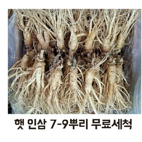 실속형 가정용인삼 350g (7-9뿌리) 무료세척, 세척원하지않아요(X), 1개