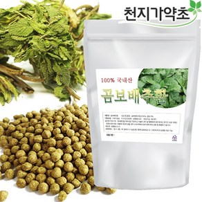 천지가약초 국산 곰보배추환 500g, 1개