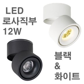 LED 로사 직부 12W 블랙 화이트 3000K 전구색