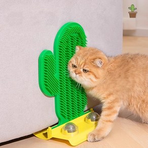 투데이리빙 고양이 셀프 그루밍 선인장 브러쉬 죽은털 제거 고양이빗 반려동물 빗질 장난감 애완 용품 캣닢 캣닢볼, 1개, R98560A(선인장
