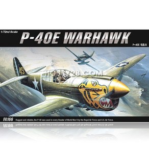 1/72 P-40E 워호크 WARHAWK