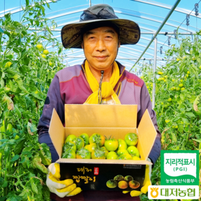 [최고평점] 대저 토마토 / 대저짭짤이토마토 산지직송, 대저 짭짤이 토마토 로얄과 [S~2S] 2kg, 1개