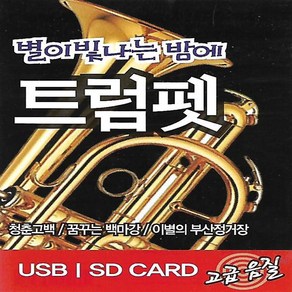 USB 음악 별이 빛나는 밤에 트럼펫 연주 경음악