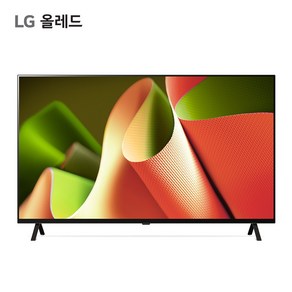 LG OLED TV 65인치 OLED65B4FNA 알파8 AI TV 올레드 공식판매점, 방문설치, 벽걸이형, LG OLED 65B4F, 163cm/(65인치)