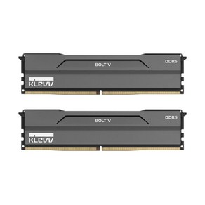 ESSENCORE KLEVV DDR5-6000 CL30 BOLT V 패키지 서린 (32GB(16Gx2)), 2개