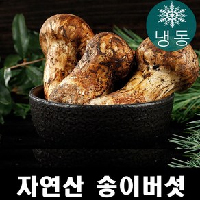 진심좋은 자연산 냉동 송이 버섯 자연 송이버섯, 1등급 500g, 1박스