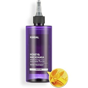 KUNDAL [KUNDAL] 미라클 데미지케어 워터트리트먼트 이란 Miacle Damage Cae Wate Teatment 300ml Ylang, 1개