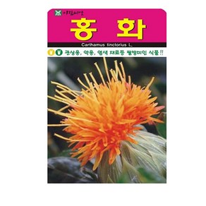 SN월드 씨앗 고급꽃씨 꽃씨앗, 1개