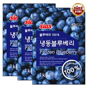 [퀴클리몰] 시아스 냉동 블루베리 1kg x 3개 + 드라이아이스 1개