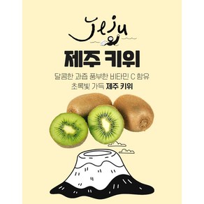 농장 직송 제주 그린키위 당도 제주 키위 참다래. 가정용 특대과 혼합과, 2kg(특대과), 1개