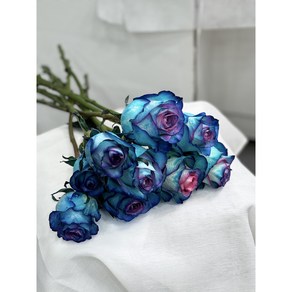 [감성생화] 장미 생화 1단 (10대) 꽃배달 생화택배 꽃시장 사입, 1세트, 블루
