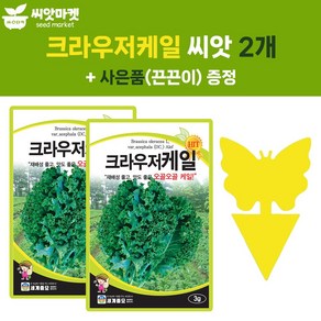 세계종묘 크라우저 케일 씨앗 3g 오골오골 케일씨 종자 2개+끈끈이 1P, 1개
