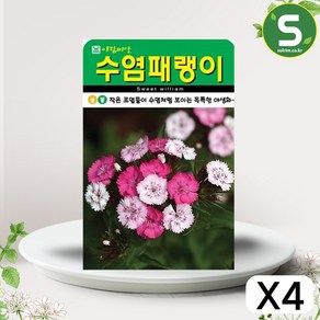 솔림텃밭몰 수염패랭이꽃씨앗 1000립 수염패랭이꽃 꽃씨앗 꽃씨, 4개