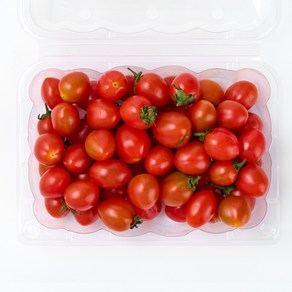 스테비아 대추방울토마토 단마토, 1개, 500g