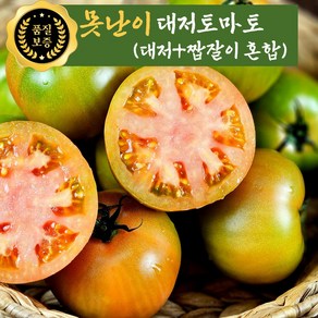 대저농협허가 고당도 대저토마토 못난이(쥬스용) 짭잘이토마토 짭짤이, 1개, 못난이대저(2.5kg/혼합크기)