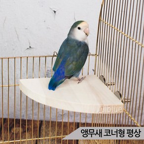 앵무새 코너형 평상 삼각평상 잉꼬 왕관 앵무새놀이터, 1개