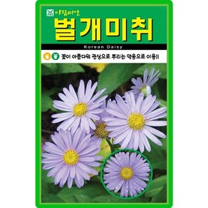 아람종묘 벌개미취 씨앗 500립, 1개