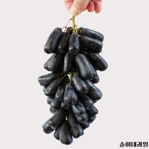 [솔이네과일]고당도 블랙사파이어포도, 1개, 2kg