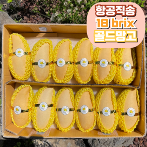 [항공직송] 고당도 골드망고 프리미엄 태국망고, 1개, 2kg (4-7과 내외)