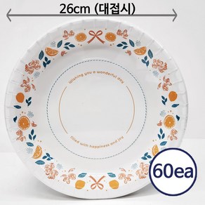 코스트코 삼풍 친환경 종이접시 (대) 26cm x 60매 + 더메이런손소독제