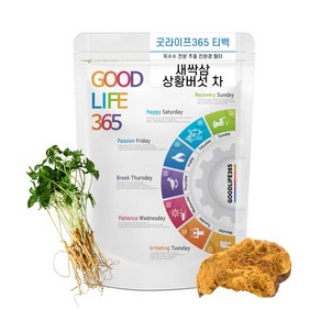 굿라이프365 새싹삼 상황버섯 새싹인삼차 삼각티백 30개입, 1.2g, 30개