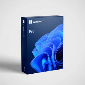 윈도우11프로 처음사용자용 Windows 11Pro FPP USB