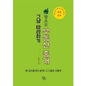 왕초보 부동산 중개 그냥 따라하기:, 갈라북스, 김철수