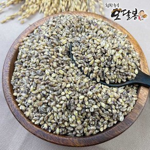 힘찬농부오달봉 국산 자색보리, 2kg, 1개