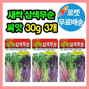 새싹 삼색무순 씨앗 (합 90g) 새싹씨 소독되지 않은 씨앗, 3개