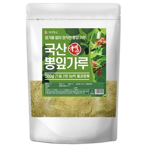 건강중심 국산 뽕잎 분말 가루, 1개, 500g