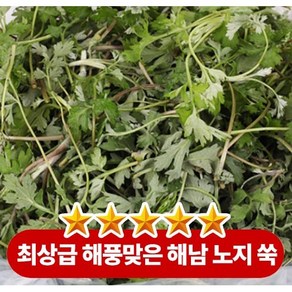 매일 당일채취 해남 제철 노지 생 쑥, 1박스, 500g