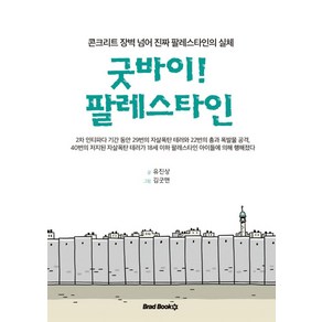 굿바이! 팔레스타인:콘크리트 장벽 넘어 진짜 팔레스타인의 실체, 브래드북스