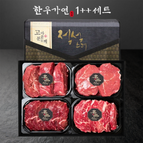 한우가연 선물세트1++ NO.9 구이용 등심300g+채끝300g+부채살200g+갈비살200g, 1kg, 1개
