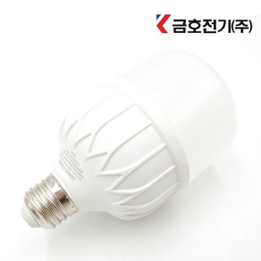 금호전기 LED 고와트전구 램프, 1개, 주광색