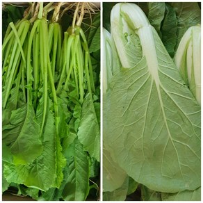알뜰농장 싱싱한 열무 1+1(8kg)/얼갈이1+1(8kg)/열무+얼갈이(8kg), 1개, 열무+얼갈이(8kg)