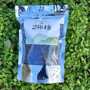 자연산 광양 백운산 고사리 햇고사리 (말린)건고사리, 건취나물100g