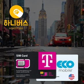 미국 고속무제한 데이터 전화 유심(개통예약 필수), 1개, 10일, T-Mobile 고속무제한